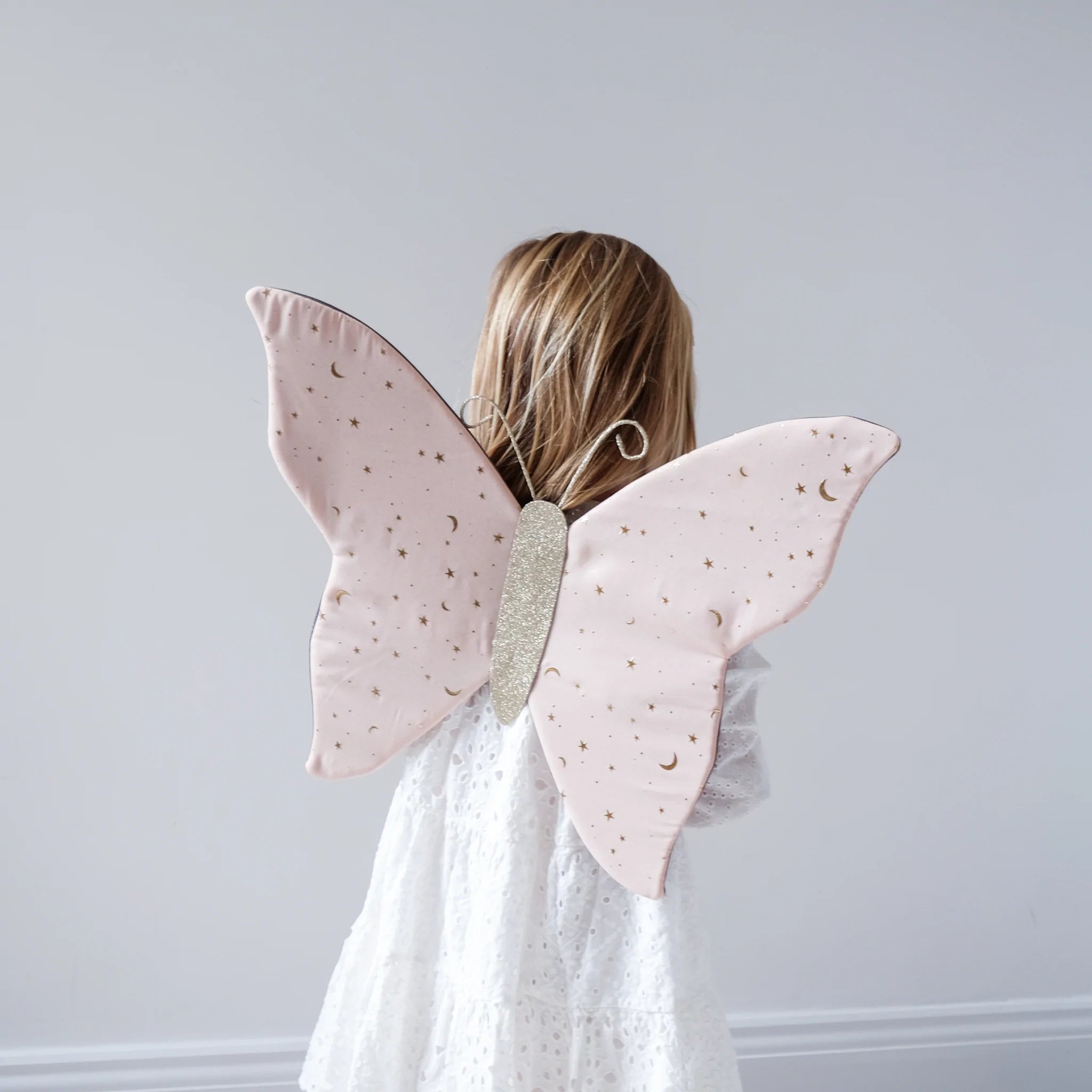 Wholesale fairy wings deals